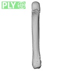 NH MER35 145 Pan troglodytes schweinfurthii metacarpal fifth right ply