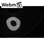 NH MER35 145 Pan troglodytes schweinfurthii metacarpal second right ct stack movie