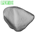 NH MER35 145 Pan troglodytes schweinfurthii trapezoid right ply