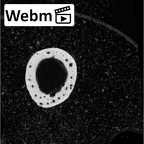 NH MER35 152 Pan troglodytes schweinfurthii metacarpal fifth left ct stack movie