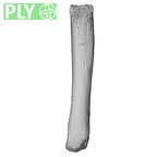 NH MER35 152 Pan troglodytes schweinfurthii metacarpal fifth left ply