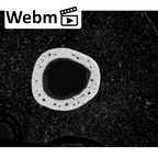 NH MER35 152 Pan troglodytes schweinfurthii metacarpal third left ct stack movie
