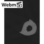 NH MER35 86 Pan troglodytes troglodytes hand phalanx fifth proximal left ct stack movie