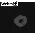 NH MER35 86 Pan troglodytes troglodytes hand phalanx first proximal left ct stack movie