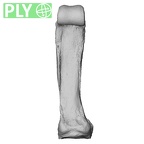 NH MER35 86 Pan troglodytes troglodytes hand phalanx fourth proximal left ply