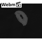 NH MER35 86 Pan troglodytes troglodytes hand phalanx second middle left ct stack movie