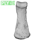 NH MER35 86 Pan troglodytes troglodytes hand phalanx second middle left ply