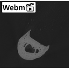 NH MER35 86 Pan troglodytes troglodytes hand phalanx second proximal left ct stack movie