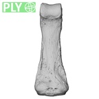 NH MER35 86 Pan troglodytes troglodytes hand phalanx third middle left ply