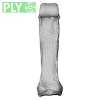 NH MER35 86 Pan troglodytes troglodytes hand phalanx third proximal left ply