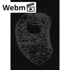 NH MER35 86 Pan troglodytes troglodytes lunate left ct stack movie