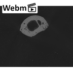 NH MER35 86 Pan troglodytes troglodytes metacarpal first left ct stack movie