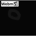 NH MER35 86 Pan troglodytes troglodytes metacarpal fourth left ct stack movie