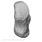 pisiform left