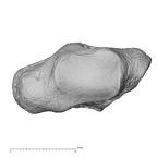trapezium left