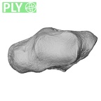 NH MER35 86 Pan troglodytes troglodytes trapezium left ply