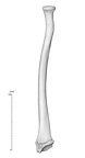 NH MER33 719 pan troglodytes radius right anterior