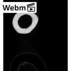 NH MER33 719 Pan troglodytes schweinfurthii radius right ct stack movie