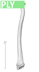 NH MER33 719 pan troglodytes radius right ply
