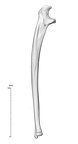 NH MER33 719 pan troglodytes ulna right lateral
