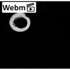NH MER33 719 Pan troglodytes schweinfurthii ulna right ct stack movie