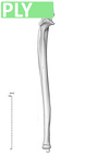 NH MER33 719 pan troglodytes ulna right ply