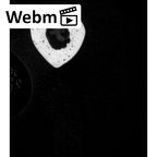 NH MER35 145 Pan troglodytes schweinfurthii radius right ct stack movie