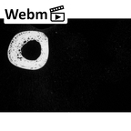 NH MER35 145 Pan troglodytes schweinfurthii ulna right ct stack movie