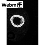 NH MER35 152 Pan troglodytes schweinfurthii humerus right ct stack movie
