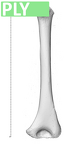 NH MER35 152 pan troglodytes humerus right ply