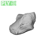 NH CAM2 160 Papio anubis lunate right ply