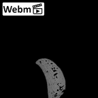 NH CAM2 160 Papio anubis os centrale right ct stack movie
