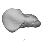 NH SUD2 26