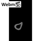 NH CAM2 160 Papio anubis radius right ct stack movie
