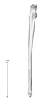NH CAM2 160 papio anubis ulna right anterior