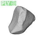 NH MER39 222 Piliocolobus preussi trapezoid right ply
