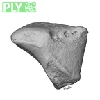 NH MER39 223 Piliocolobus preussi trapezoid left ply