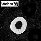 NH MER39 232 Piliocolobus preussi metacarpal third right ct stack movie