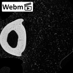 NH MER39 243 Piliocolobus preussi hand phalanx fifth proximal right ct stack movie