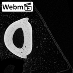 NH MER39 243 Piliocolobus preussi hand phalanx fourth proximal right ct stack movie