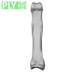 NH MER39 243 Piliocolobus preussi hand phalanx third proximal right ply