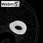 NH MER39 243 Piliocolobus preussi metacarpal first right ct stack movie