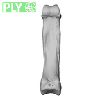 NH MER39 246 Piliocolobus preussi hand phalanx fourth proximal left ply
