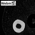 NH MER39 246 Piliocolobus preussi metacarpal fifth left ct stack movie