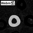 NH MER39 246 Piliocolobus preussi metacarpal fourth left ct stack movie