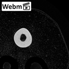 NH MER39 246 Piliocolobus preussi metacarpal second left ct stack movie
