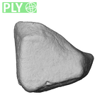 NH MER39 246 Piliocolobus preussi trapezoid left ply