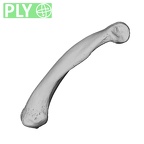 NH MER39 259 Piliocolobus preussi hand phalanx fifth proximal left ply