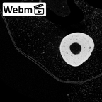 NH MER39 259 Piliocolobus preussi metacarpal fifth left ct stack movie