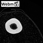 NH MER39 259 Piliocolobus preussi metacarpal second left ct stack movie